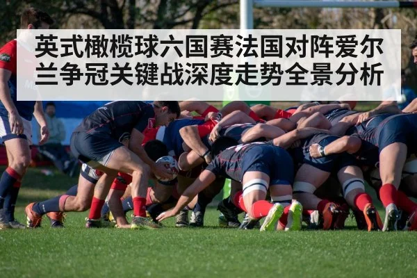 英式橄榄球六国赛法国对阵爱尔兰争冠关键战深度走势全景分析